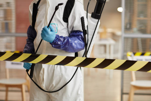 Professional Sewage Cleanup technician working in Alpha, NJ